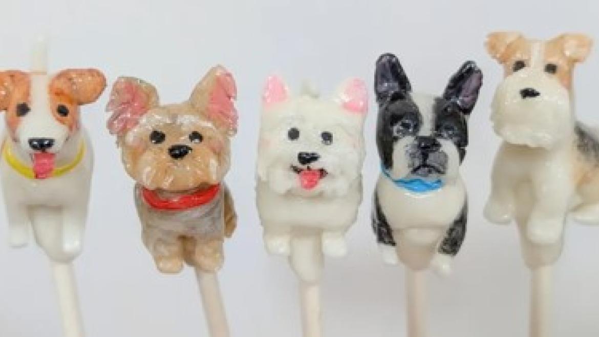 特別パフォーマンス