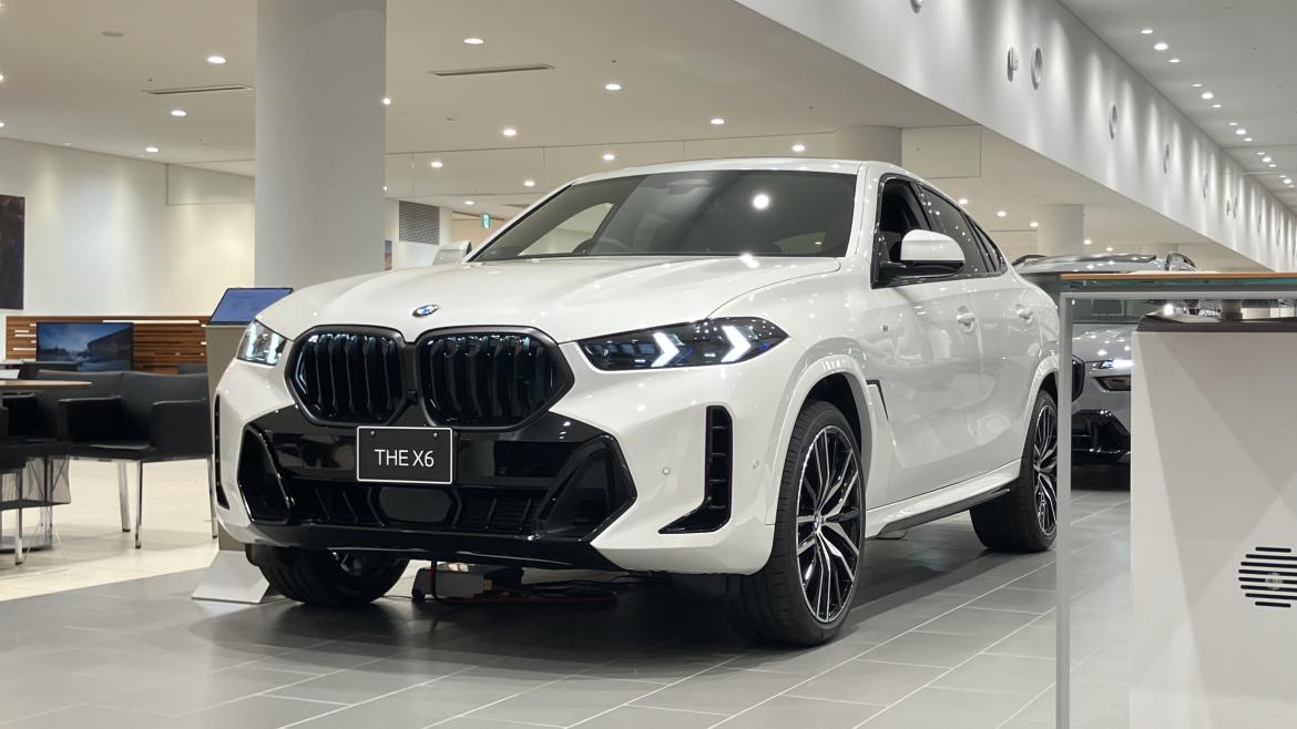 BMW X6